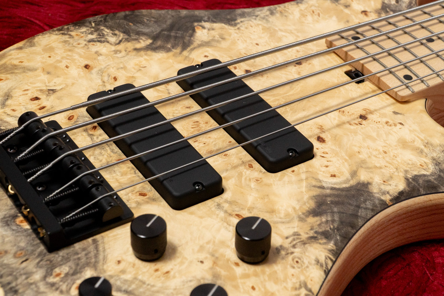 【new】Sadowsky / CS24 MS5 Ash/Buckeye Burl/Natural Transparent Satin 3.665kg #F000381-26【GIB Yokohama】