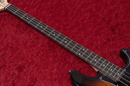 【new】HEX Guitars / B100R G/SB