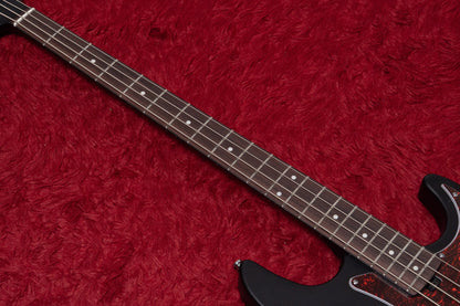 【new】HEX Guitars / RB100R S/BK