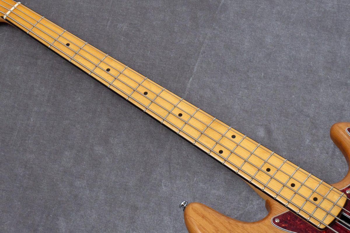 【new】Sire / V7 Alder-4 NT/HM 3.95kg #2N26310092【GIB Hyogo】