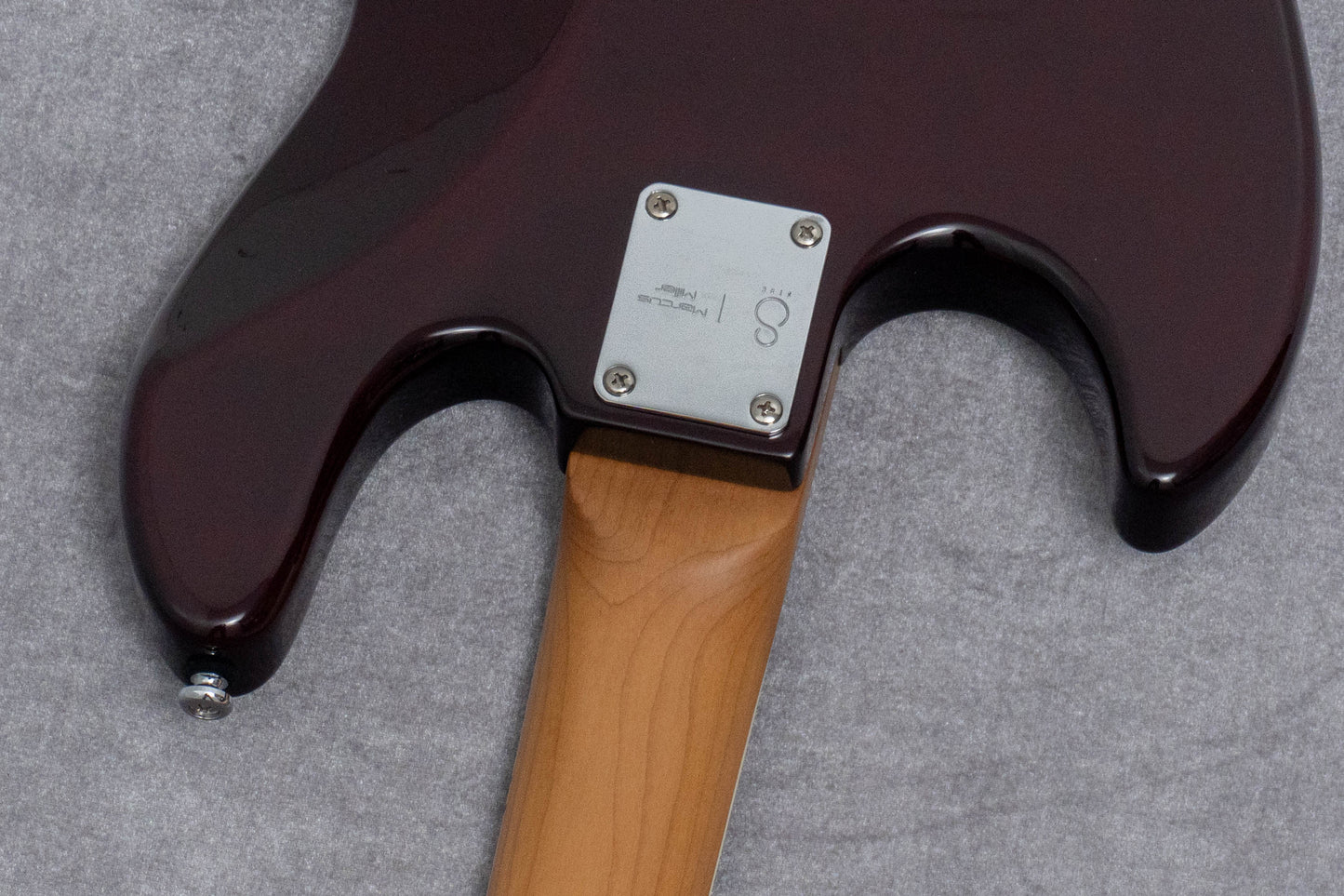 【new】Sire / V5R Alder-4 TS 4.46kg #2N25611243【GIB Hyogo】