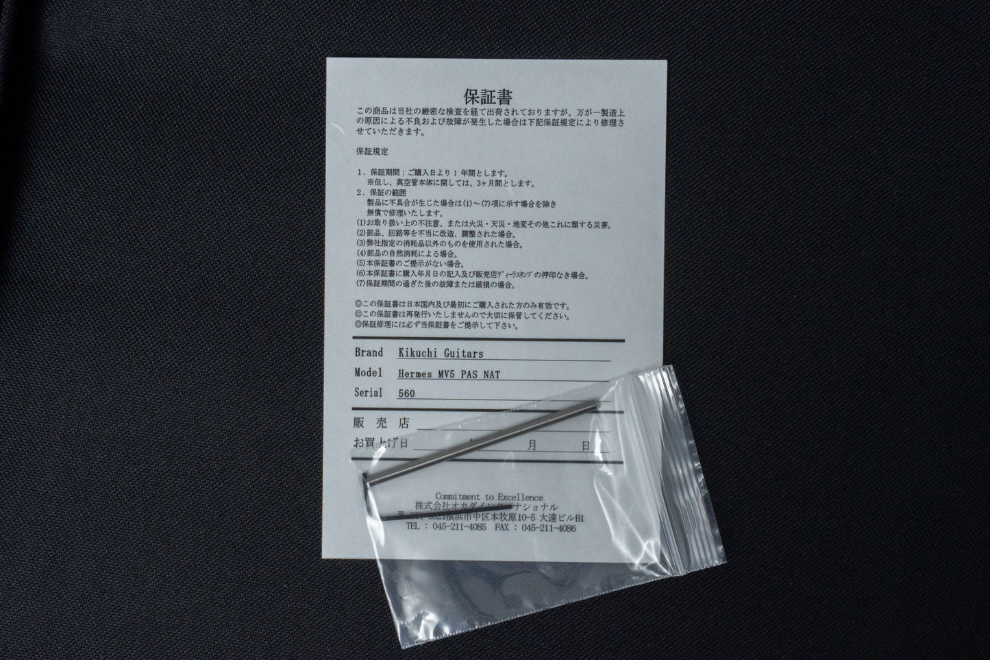 【new】Kikuchi Guitars / Hermes MV5 PASSIVE NAT 4.1kg #560【GIB Hyogo】