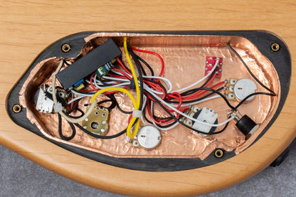 【outlet】Sire / F10 Dc 4 NT 3.97kg #2N26A40029【GIB Hyogo】