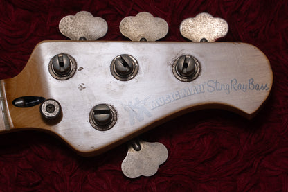 【used】Musicman / Pre Ernie Stingray 1982 4.700㎏ #B025168【GIB Yokohama】