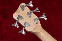 【outlet】Warwick / PS Streamer CV 5 TS BR  3.380kg #L013331-24【GIB Yokohama】
