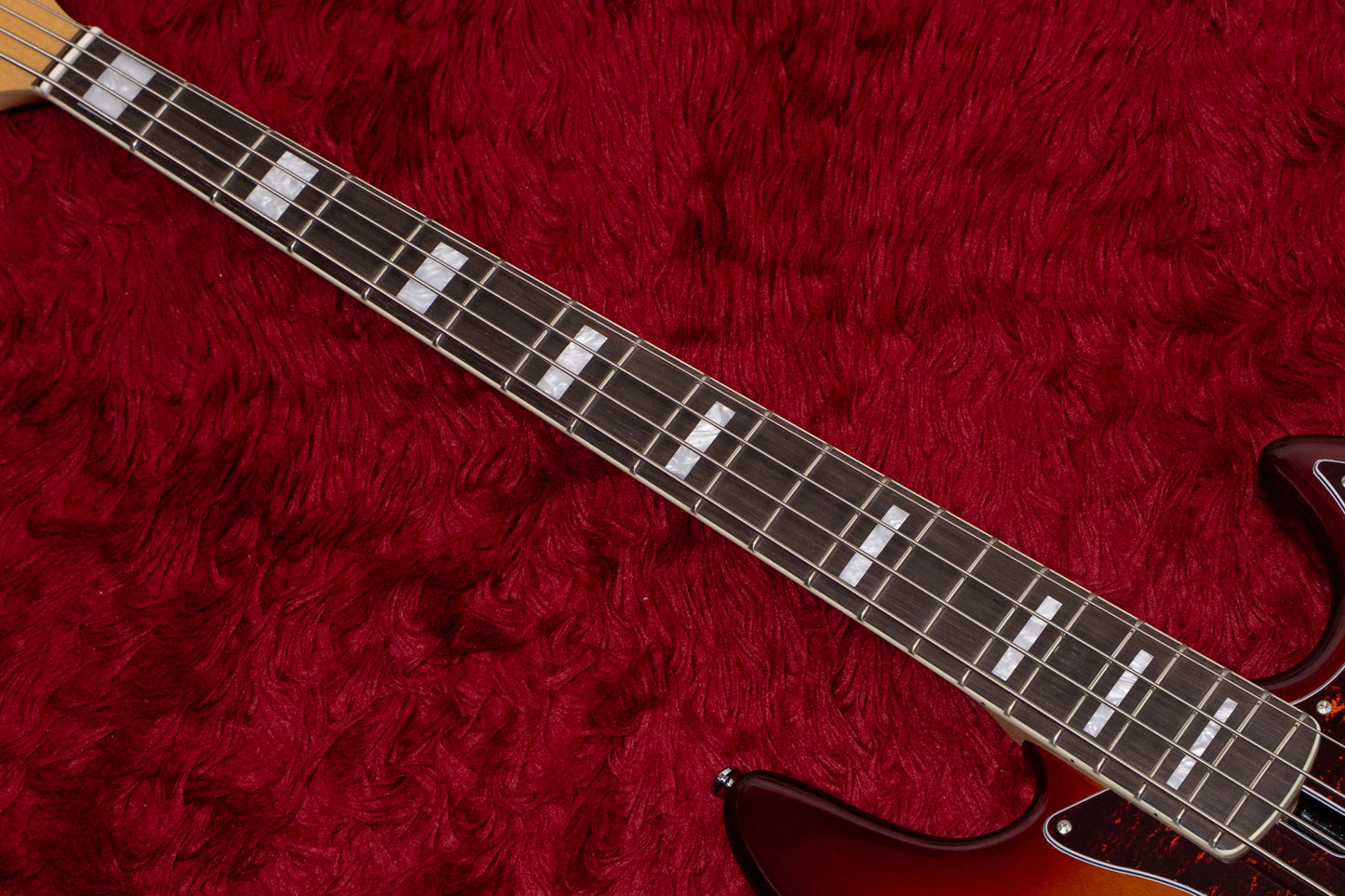 【new】Sire / V7 Alder-4 TS 4.840kg #2N25341034【GIB横浜】