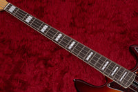 【new】Sire / V7 Alder-4 TS 4.840kg #2N25341034【GIB横浜】
