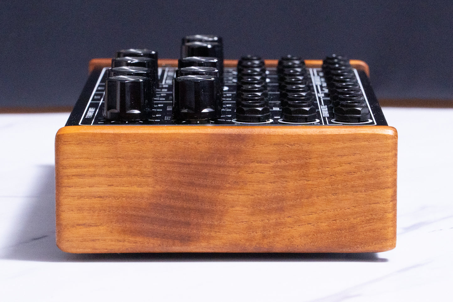 【used】Moog / CP-251 MOOGERFOOGER CONTROL PROCESSOR【GIB Yokohama】