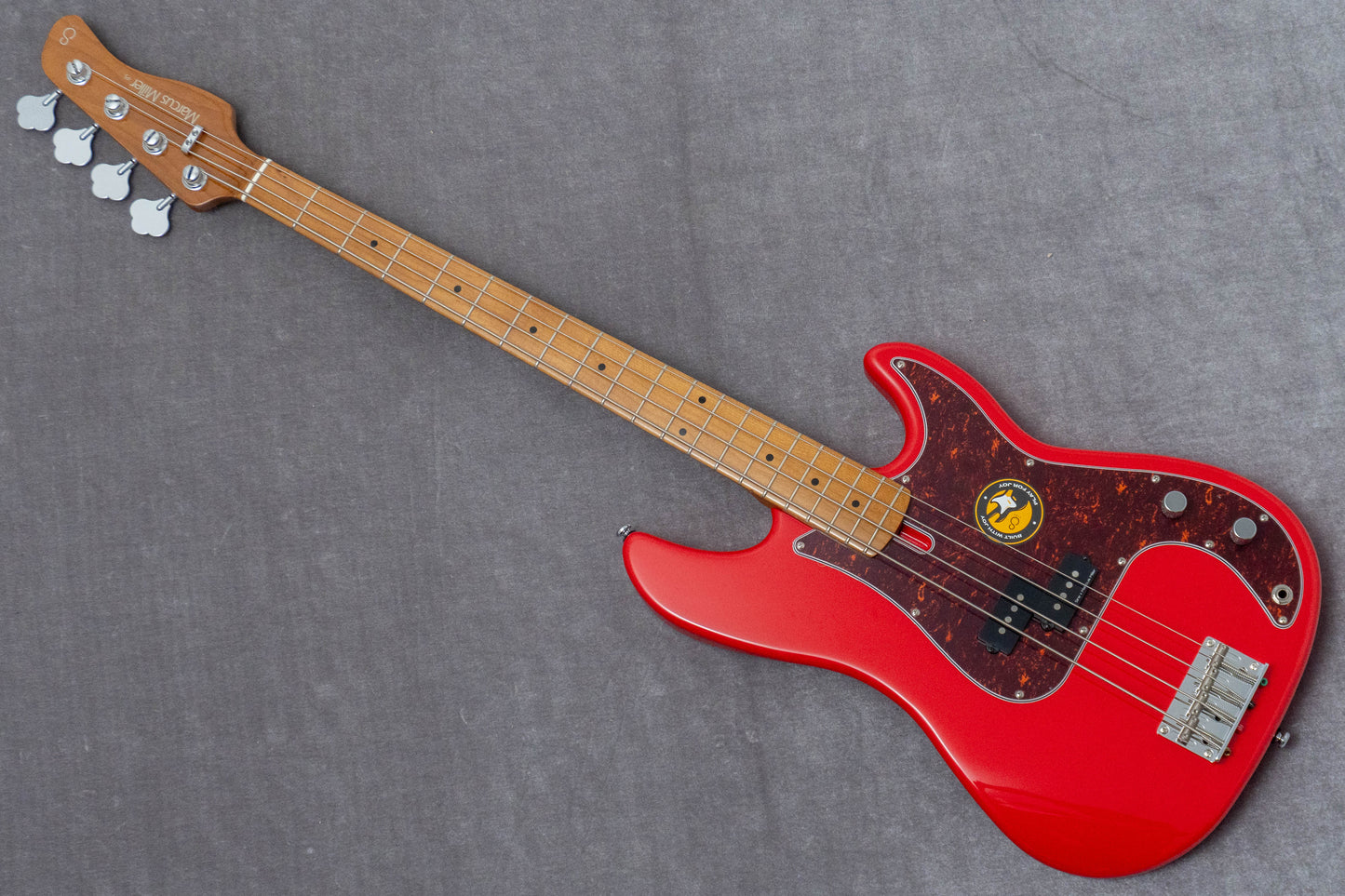 【new】Sire / P5 Alder-4 DRD 4.0kg #2N25591683【GIB Hyogo】