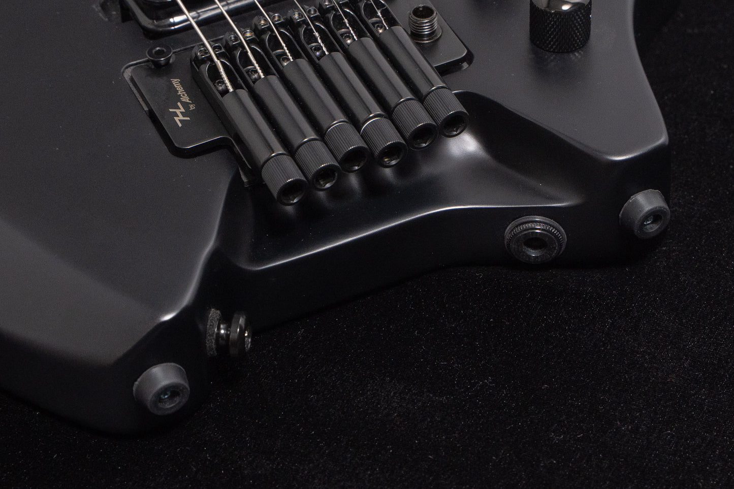 【new】HEX Guitars / N500P Black