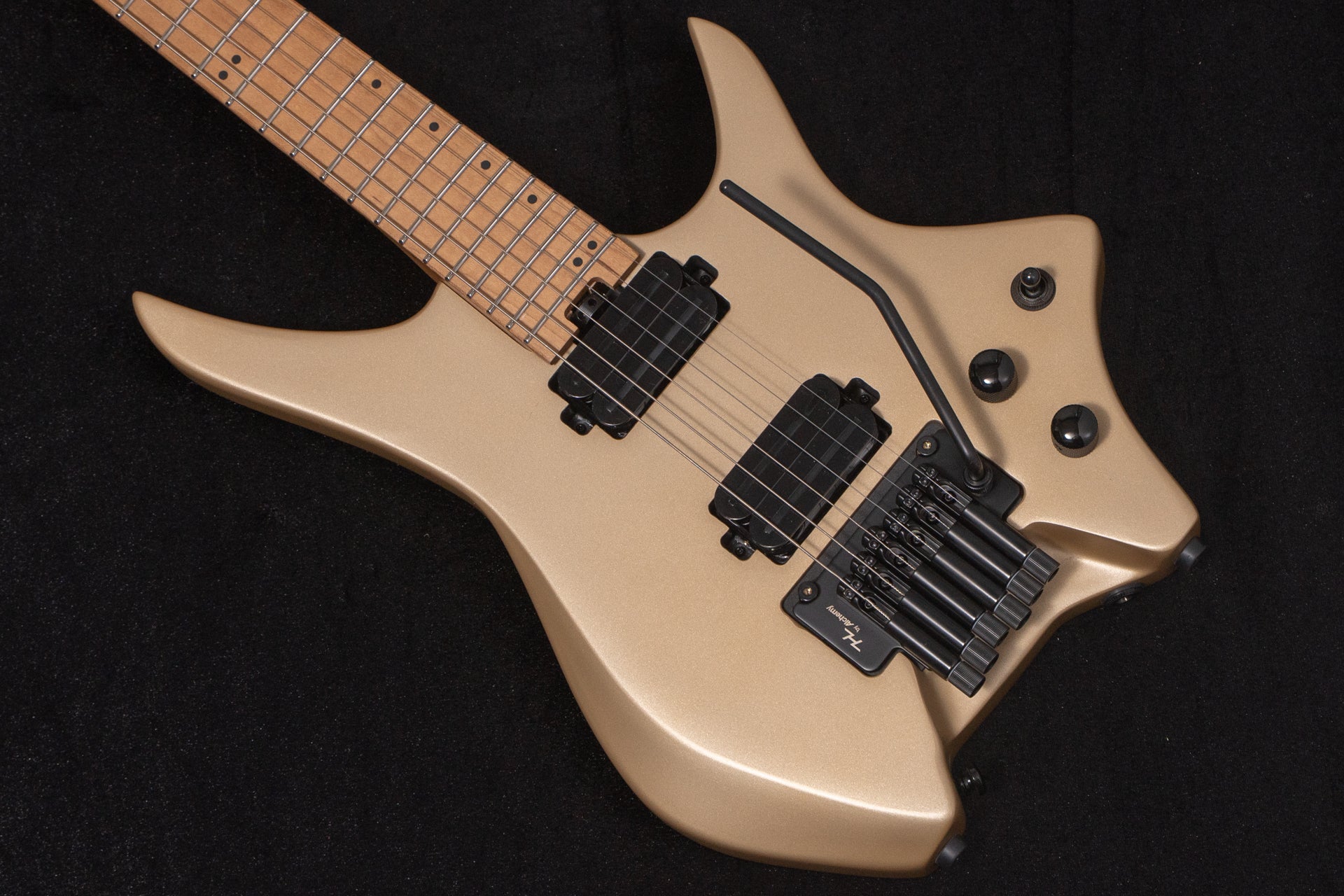 new】HEX Guitars / N500P S/SS – Bass Shop Geek IN Box