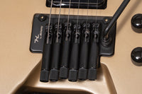 【new】HEX Guitars / N500P S/SS