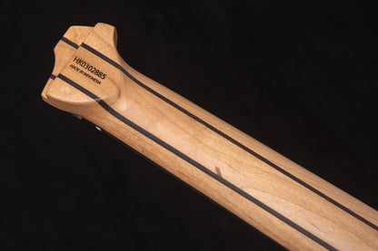 【new】HEX Guitars / N600 G/CG