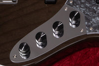 【new】Kikuchi Guitars / Hermes MV5 TBK 3.745kg #329【GIB Yokohama】