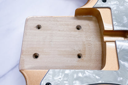 【used】Wood Custom Guitars / Vibe Standard-5 19Pitch Model BGM 4.275kg #013【GIB Yokohama】