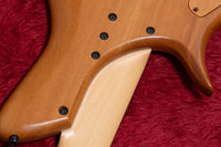 【new】Meridian Guitars / Horizon 5 Custom 4.520kg #00523【GIB Yokohama】