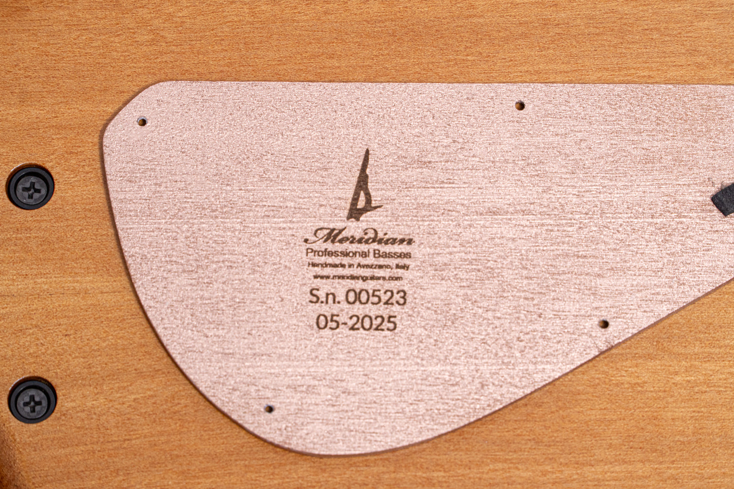 【new】Meridian Guitars / Horizon 5 Custom 4.520kg #00523【GIB Yokohama】