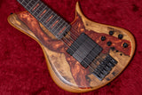 【new】Meridian Guitars / Horizon 5 Custom 4.520kg #00523【GIB Yokohama】