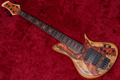 【new】Meridian Guitars / Horizon 5 Custom 4.520kg #00523【GIB Yokohama】