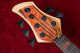 【new】Meridian Guitars / Horizon 5 Custom 4.520kg #00523【GIB Yokohama】