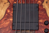 【new】Meridian Guitars / Horizon 5 Custom 4.520kg #00523【GIB Yokohama】