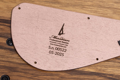 【new】Meridian Guitars / J-24 5 Custom 4.185kg #00511【GIB Yokohama】