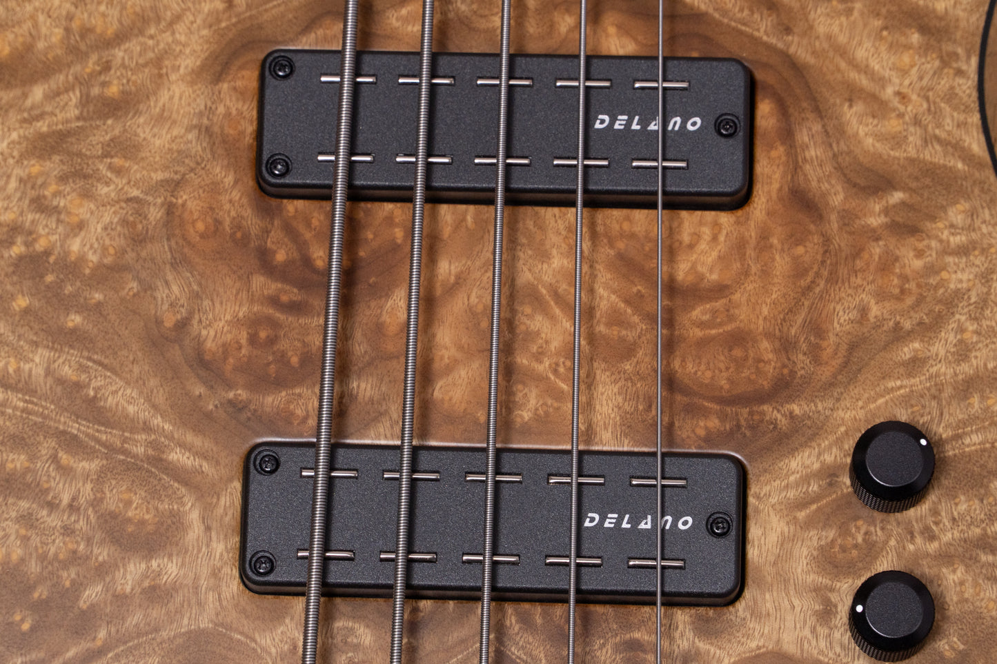 【new】Meridian Guitars / J-24 5 Custom 4.185kg #00511【GIB Yokohama】