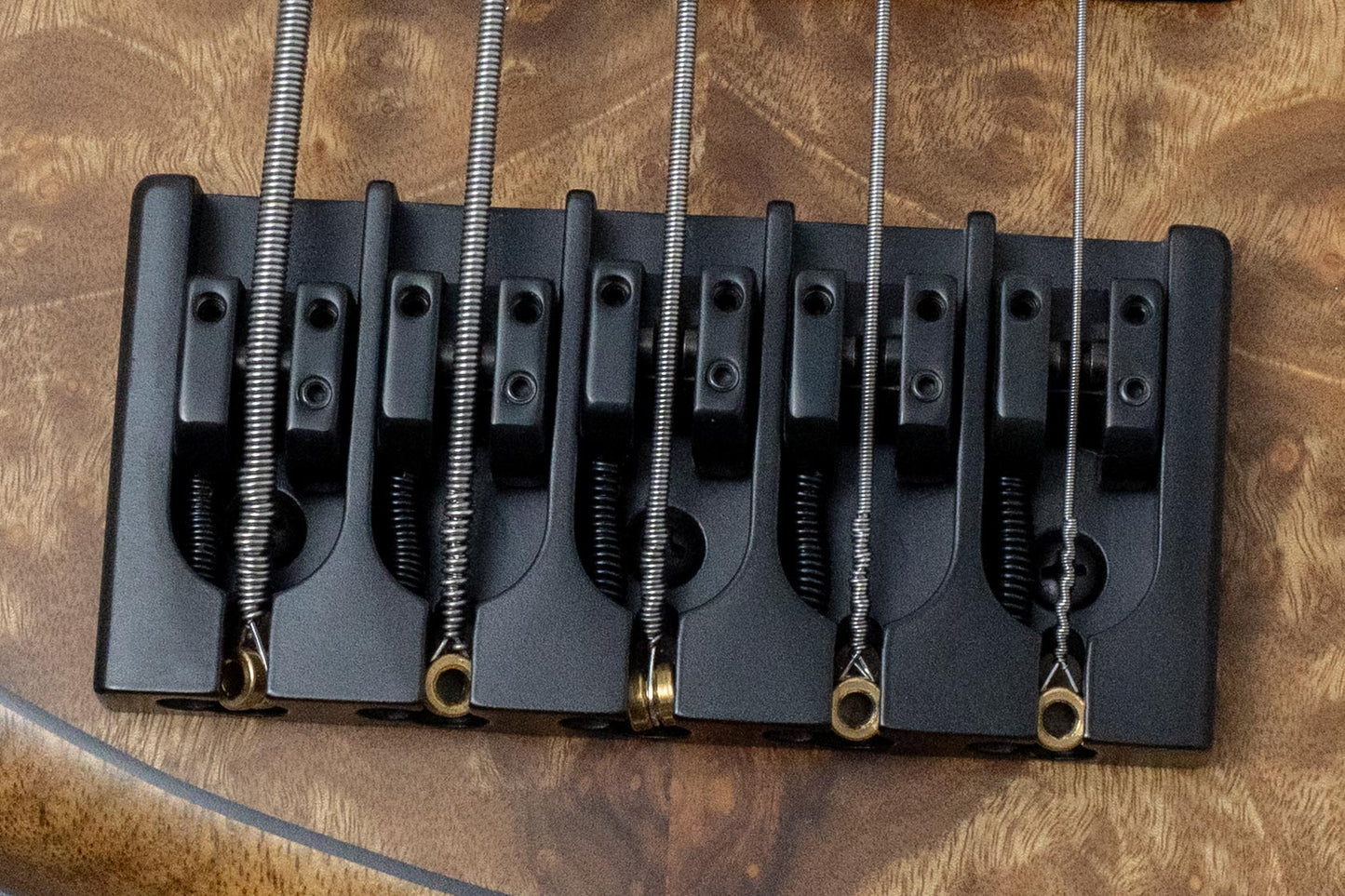 【new】Meridian Guitars / J-24 5 Custom 4.185kg #00511【GIB Hyogo】