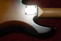 【used】Tsubasa Guitar Workshop /  The Earth 3TS  3.820kg #0137【GIB Yokohama】