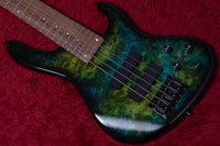 邦楽 SHANDY BASS Sterling by Music Man StingRay Ray4HH Maple Fingerboard