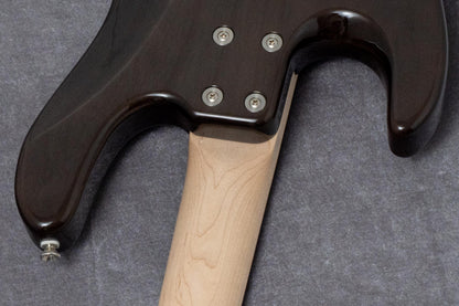 【new】Kikuchi Guitars / Hermes RV4 Ash TBK 3.835kg #335【GIB Hyogo】【Plek-adjusted】