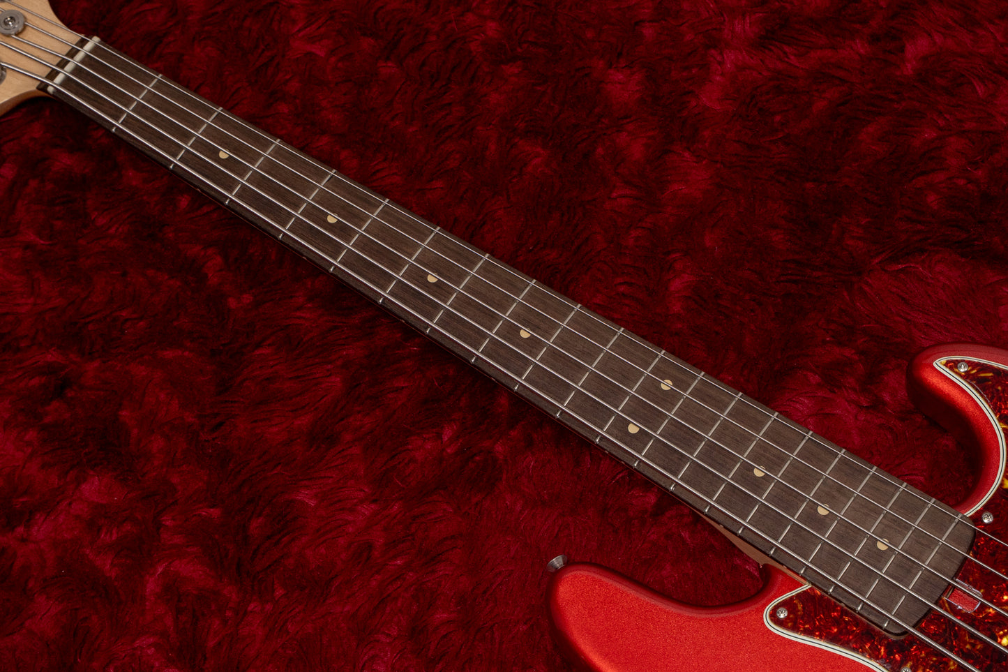 【new】Tatchi Bass / 5 Strings Jazz Alder / Rosewood CAR 4.415kg #002【GIB Yokohama】
