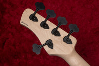 【new】Kikuchi Guitars / Hermes MV5 LE DRPM 4.190kg #456【GIB Yokohama】