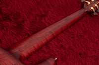 【new】Warwick / CS Streamer Stage I 5st Burgundy Red Transparent Satin 5.000kg #C164166-25【GIB Yokohama】
