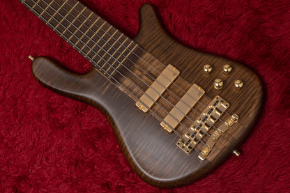 【new】Warwick / CS StreamerStage I 6st Antique Tobacco Transparent Satin 5.285kg #C164172-25【GIB Yokohama】