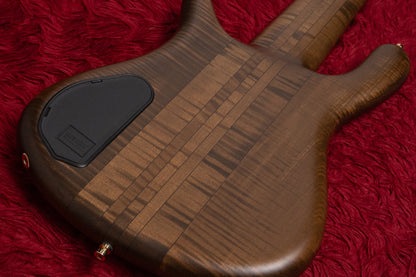 【new】Warwick / CS StreamerStage I 6st Antique Tobacco Transparent Satin 5.285kg #C164172-25【GIB Yokohama】