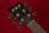 【new】Warwick / CS StreamerStage I 6st Antique Tobacco Transparent Satin 5.285kg #C164172-25【GIB Yokohama】