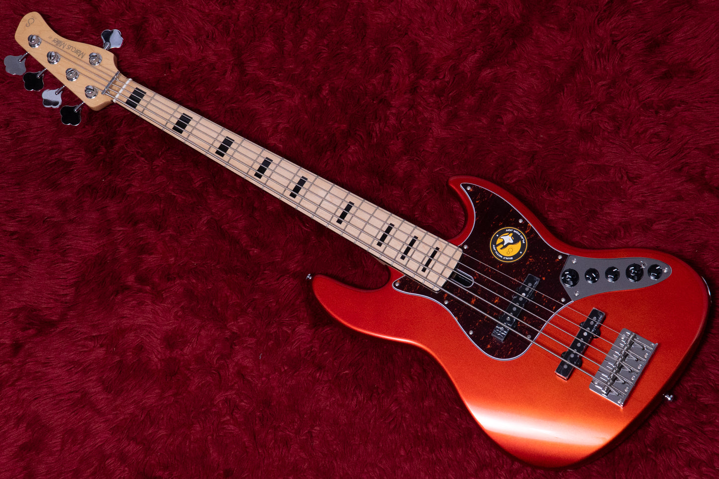 【outlet】Sire / V7 Vin Ash-5 BMR 4.745kg #2N25560001【GIB Yokohama】