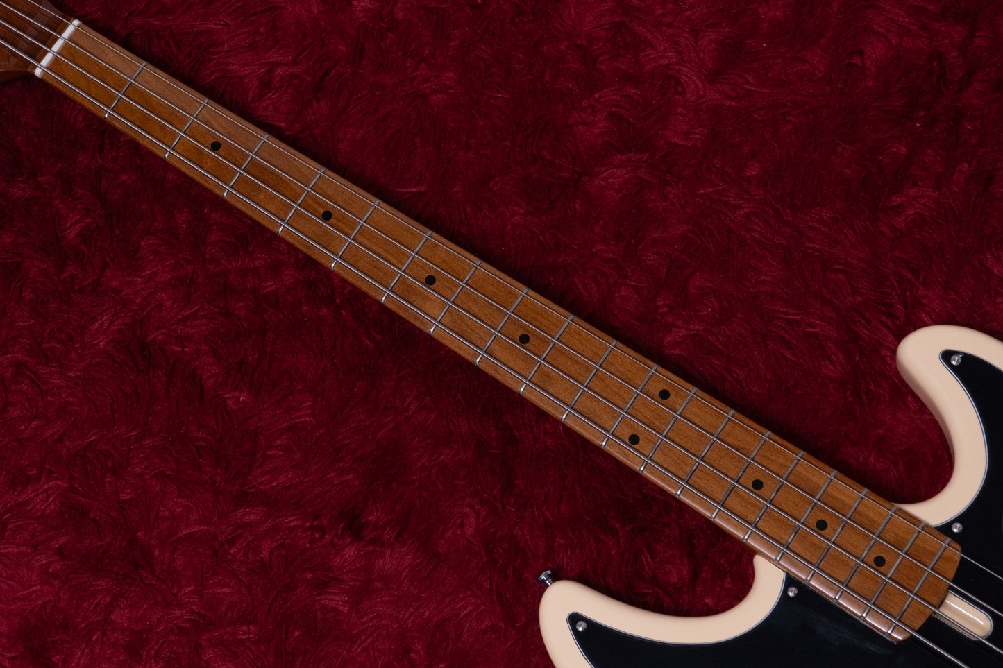 【outlet】Sire / D5 Alder-4 VWH 3.970kg #2N25280013【GIB Yokohama】