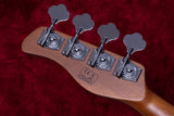 【outlet】Sire / D5 Alder-4 VWH 3.970kg #2N25280013【GIB Yokohama】
