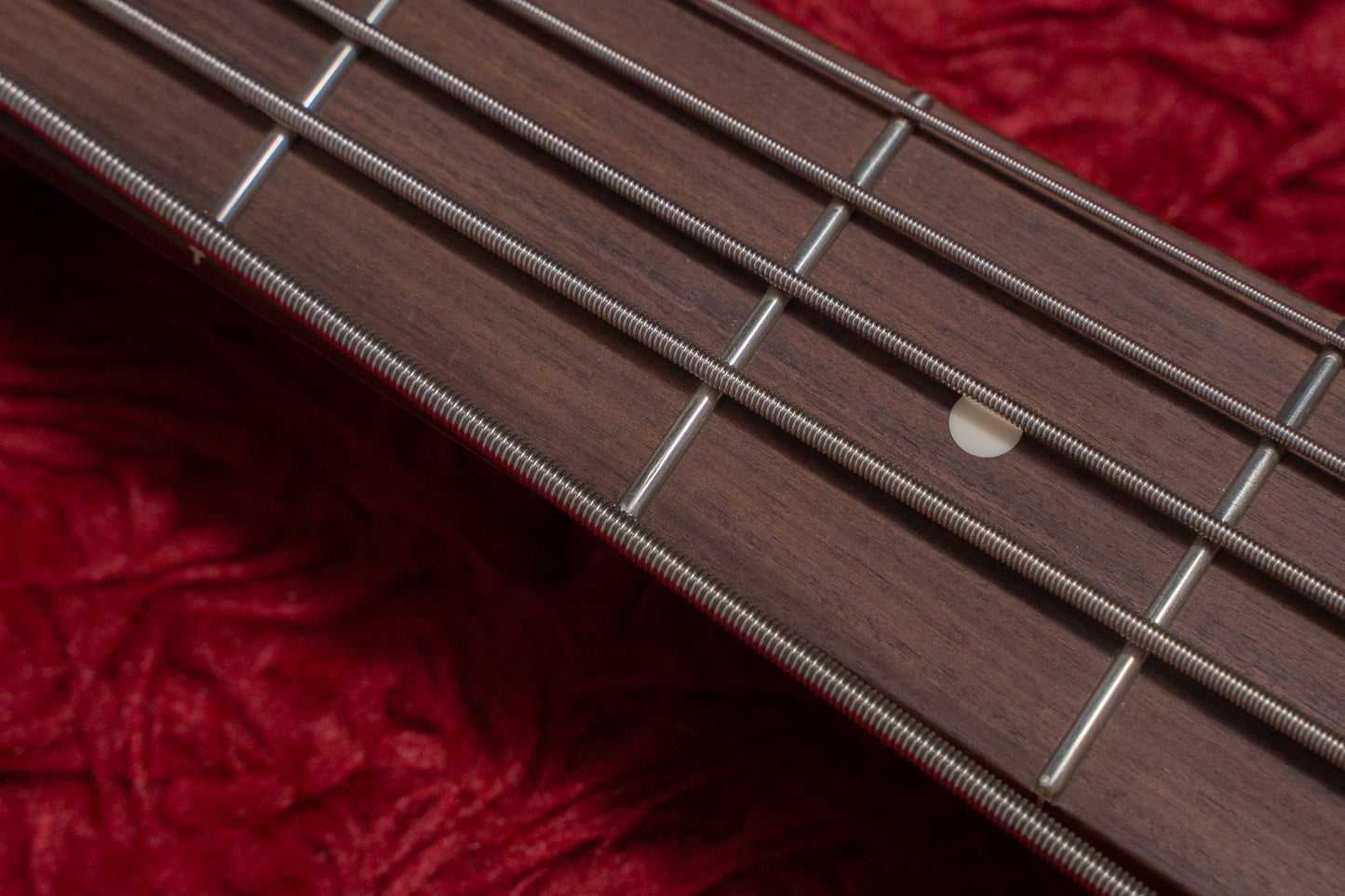 【used】Kikuchi Guitars / Custom Bass 5 3.630kg #54【GIB Yokohama】