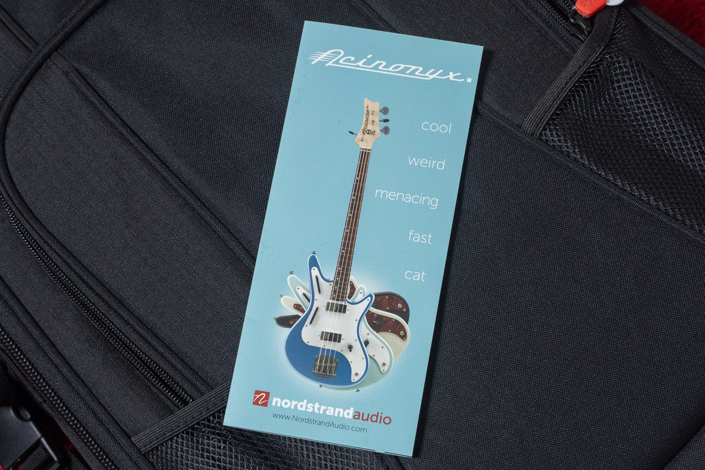 【used】Nordstrand Audio / Nordstrand Acinonyx Short Scale Bass BLK 2.975kg #210808468【GIB Yokohama】