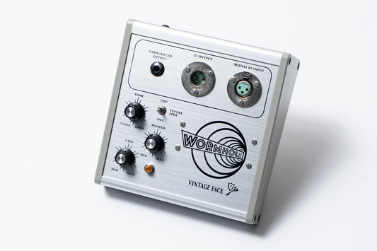 【used】Vintage Face / WORM HOLE【GIB Yokohama】