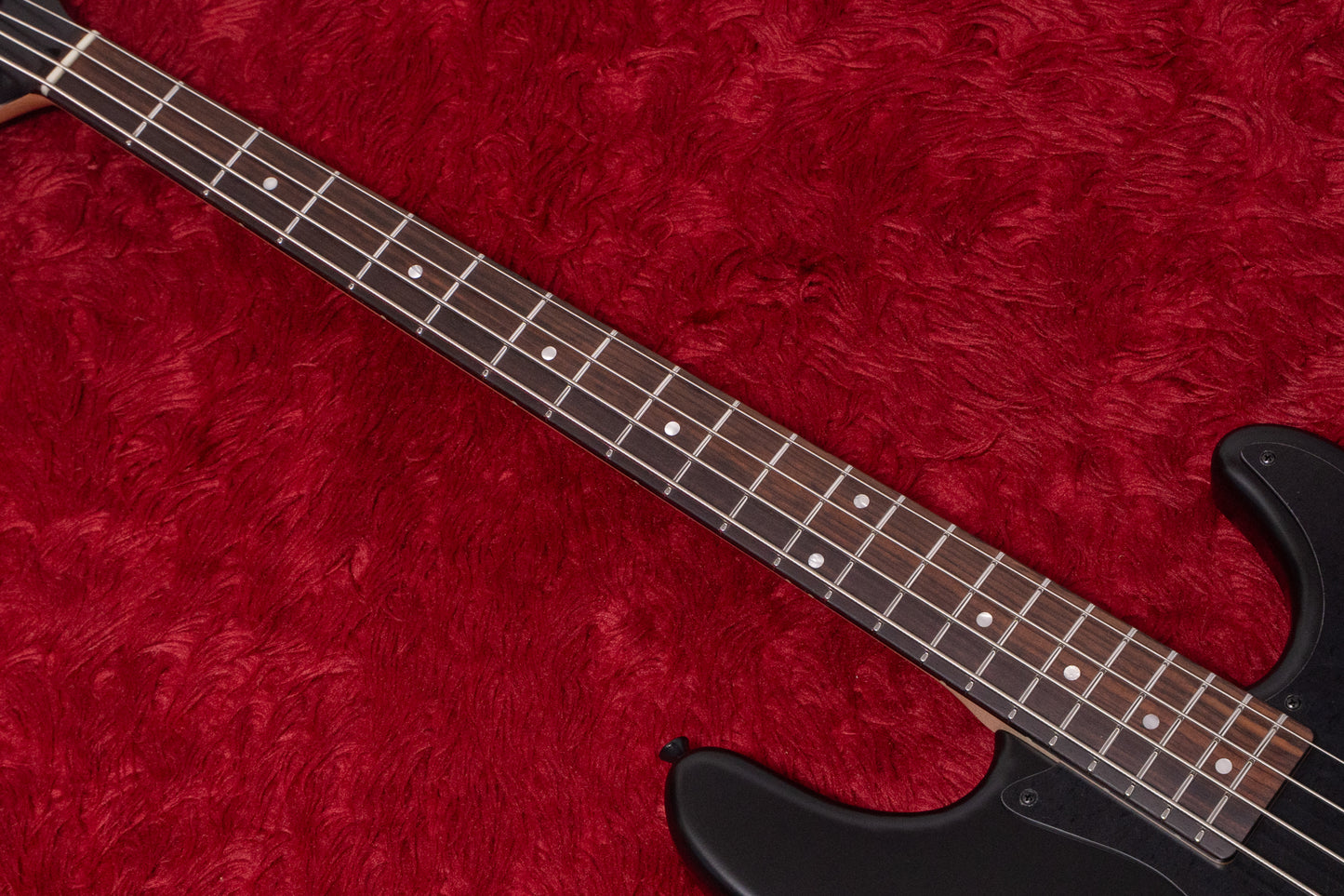 【new】Freedom Custom Guitar Research / C.S. Anthra 4st SDB 4.225kg #25045054【GIB Yokohama】