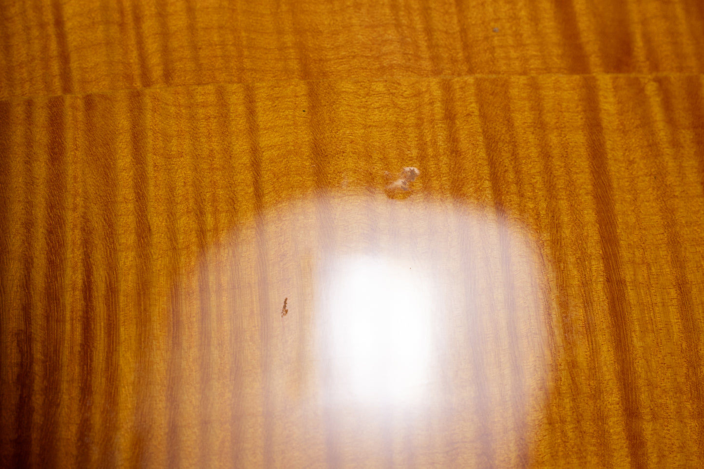 【used】Warwick / STAR BASS 4 FR 4.080kg #WPS-C-000163-11【GIB Yokohama】