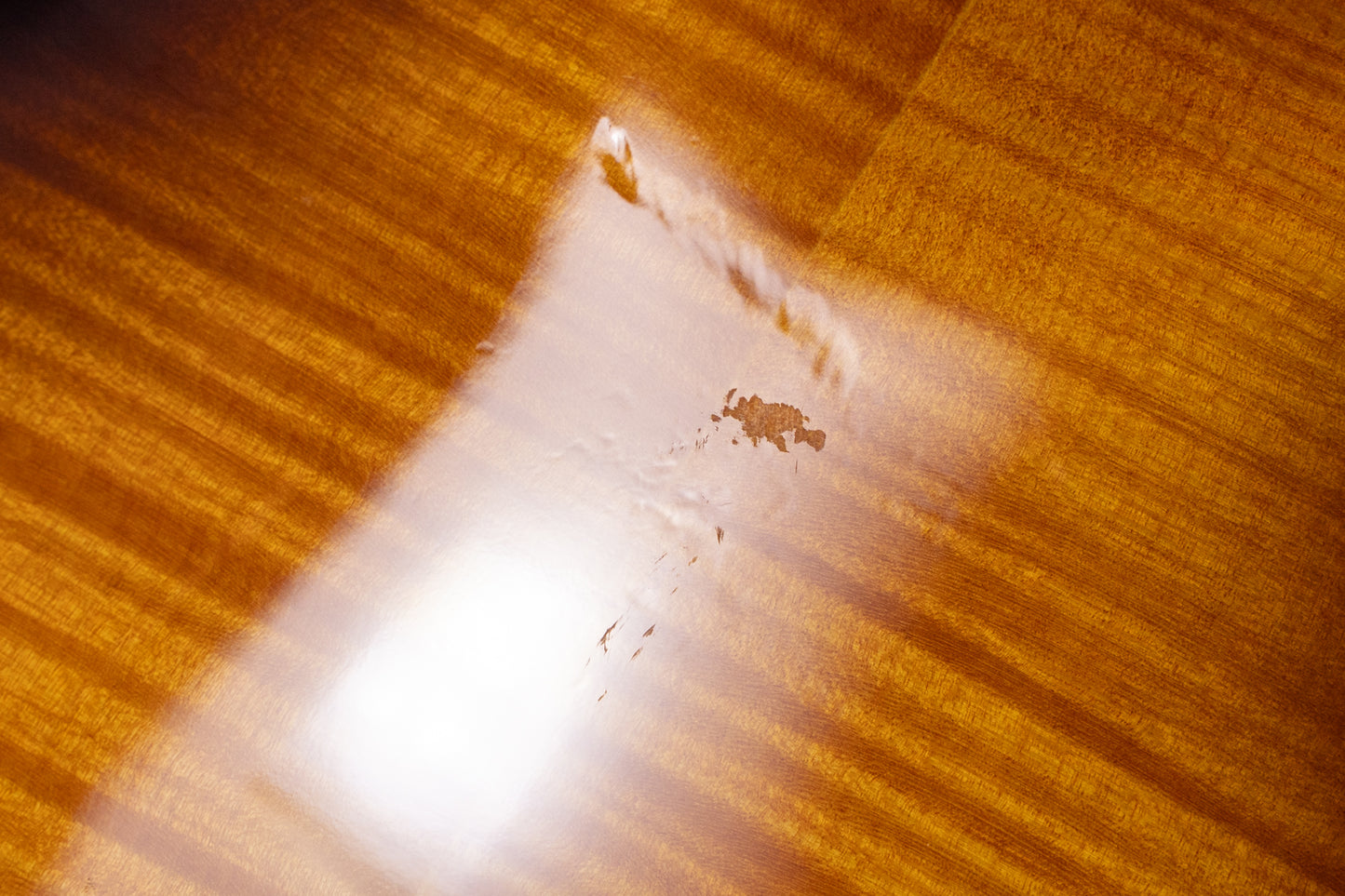 【used】Warwick / STAR BASS 4 FR 4.080kg #WPS-C-000163-11【GIB Yokohama】