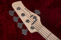 【new】Kikuchi Guitars / Hermes MV5 TCB 3.775kg #480【GIB Yokohama】