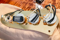 【used】momose / MJ Five24-MV-EXOTIC MAPLE SP'23 WG BR-B  2023 4.630kg #16593【GIB Yokohama】