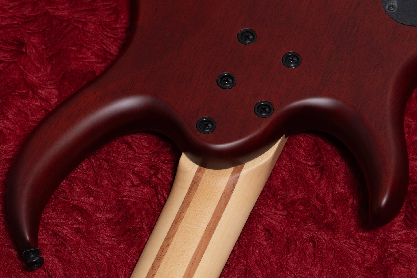 【new】Sire / M6-4 MA.S 3.455kg #2N25H10339【GIB Yokohama】