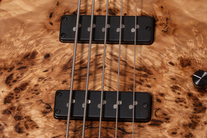 【new】AV BASSES / AVJ5m Burl Poplar 4.025kg #AVJ5m-2025-01【GIB Yokohama】